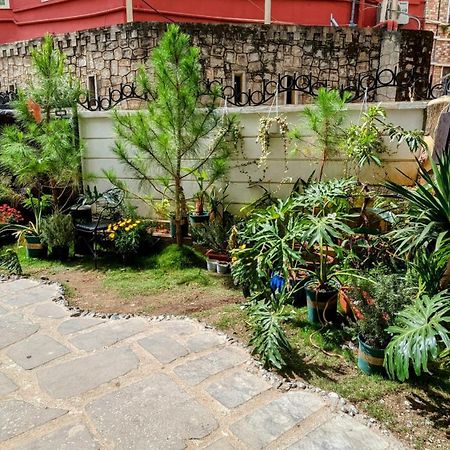 Wasabi House - Homestay Ben Cho Далат Экстерьер фото
